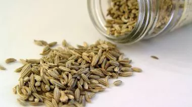 garnishing-instructions-image